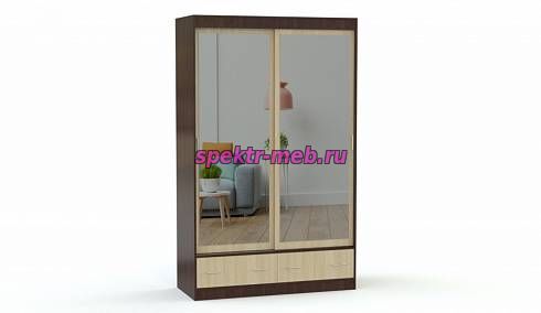 Шкаф-купе Светлана 13
