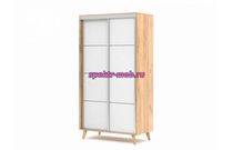 Шкаф-купе Сканд 2