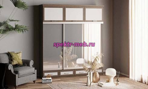 Шкаф-купе Нэмо 7