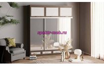 Шкаф-купе Нэмо 7