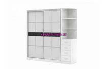 Шкаф-купе Дональд 6