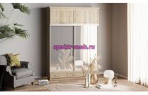 Шкаф-купе Нэмо 11