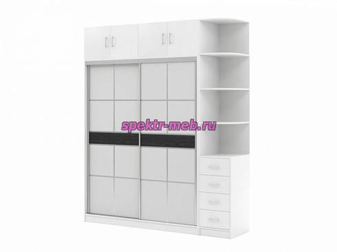 Шкаф-купе Дональд 9