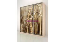 Шкаф-купе Тереза 340 Колосья