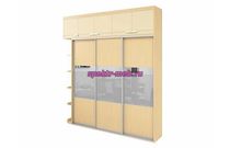 Шкаф-купе с антресолью Лайт 9