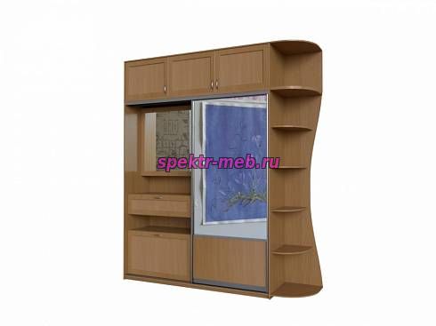 Шкаф-купе Дания 3