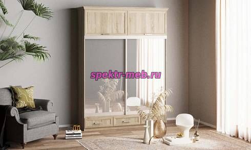 Шкаф-купе Нэмо 9