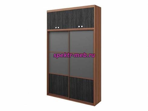 Шкаф-купе Элина 21