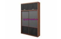 Шкаф-купе Элина 21