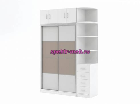 Шкаф-купе Дональд 2