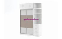 Шкаф-купе Дональд 2