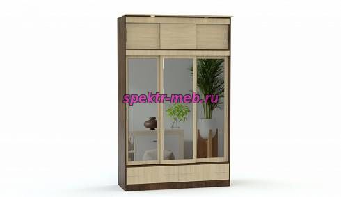 Шкаф-купе Светлана 16