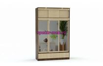 Шкаф-купе Светлана 16