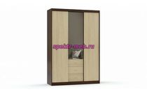 Шкаф-купе Виктория-2.10