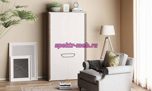 Шкаф Арина-12