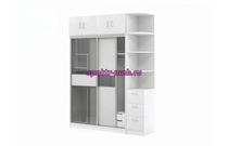 Шкаф-купе Нео 12