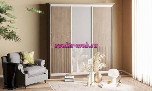 Шкаф-купе Виктория 3