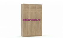 Шкаф распашной Марта 1