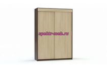 Шкаф-купе Валерия Арт 8