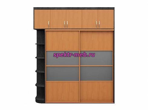 Шкаф-купе Элина 61