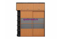 Шкаф-купе Элина 61