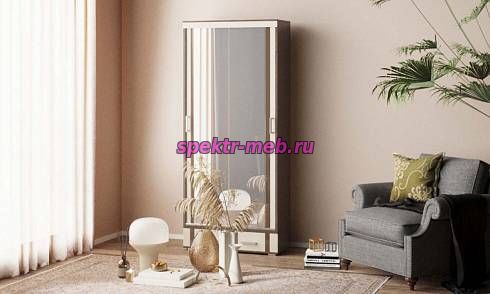 Шкаф-купе Маркиза 3