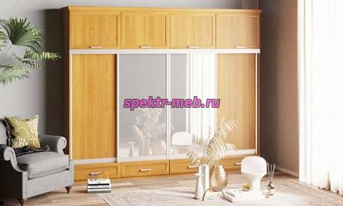 Шкаф-купе Нэмо 5