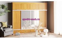 Шкаф-купе Нэмо 5