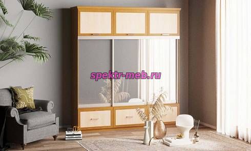 Шкаф-купе Нэмо 8