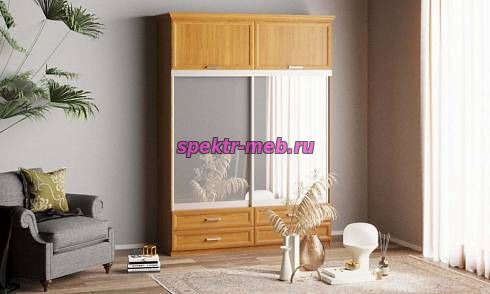 Шкаф-купе Нэмо 10