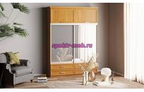 Шкаф-купе Нэмо 10