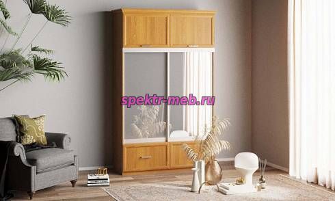 Шкаф-купе Нэмо 12