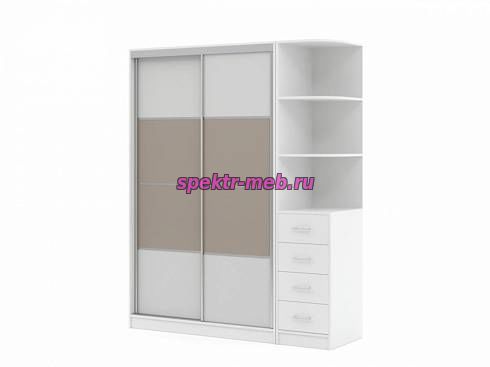 Шкаф-купе Дональд 1