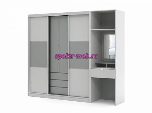 Шкаф-купе Терри 3
