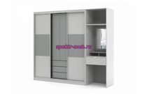 Шкаф-купе Терри 3