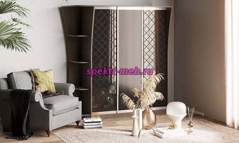 Шкаф-купе Виктория 11