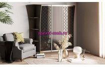 Шкаф-купе Виктория 11