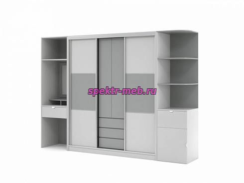 Шкаф-купе Терри 5