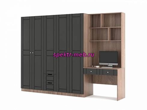 Шкаф распашной Перси 3