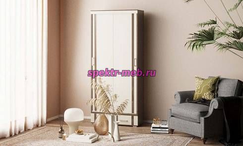 Шкаф-купе Маркиза 2