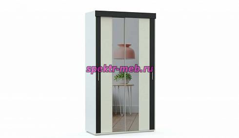 Шкаф-купе Азалия 2