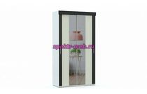 Шкаф-купе Азалия 2