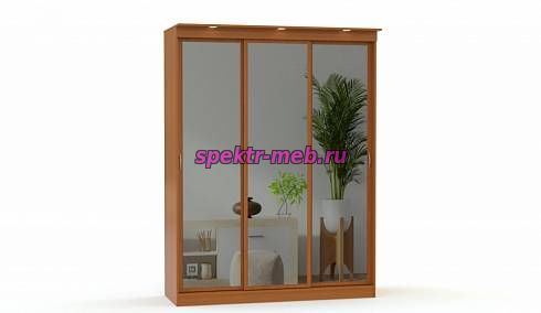 Шкаф-купе Светлана 14