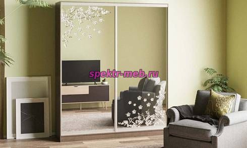 Шкаф-купе Кира