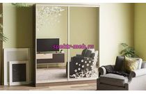 Шкаф-купе Кира