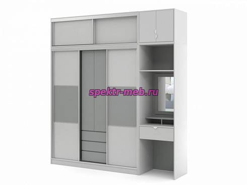 Шкаф-купе Терри 4
