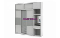 Шкаф-купе Терри 4