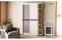 Двухдверный шкаф-купе Елизавета 9