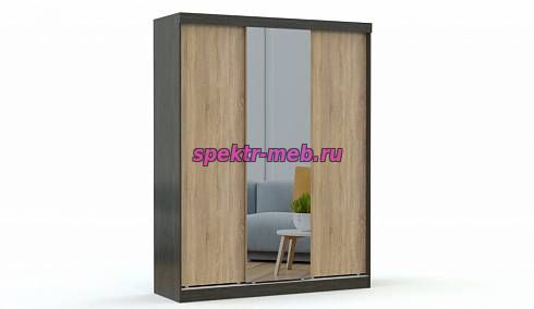 Шкаф-купе Светлана 28