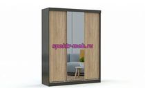 Шкаф-купе Светлана 28
